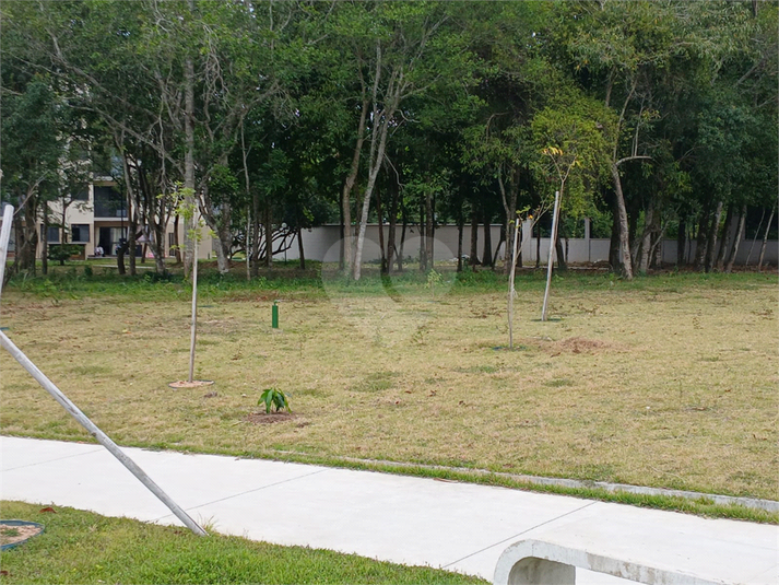 Foto REO1132372