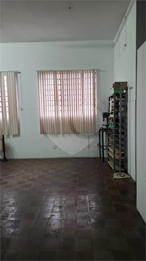 Foto REO1132375