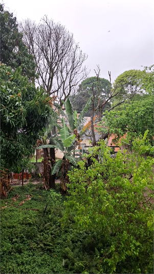 Foto REO1132375
