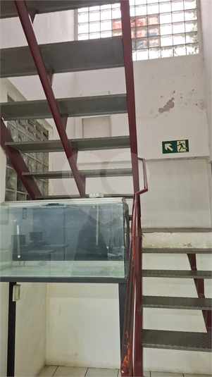 Foto REO1132375