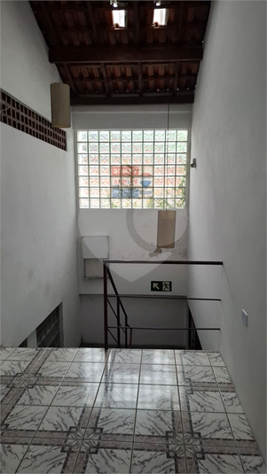 Foto REO1132375