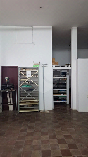 Foto REO1132375