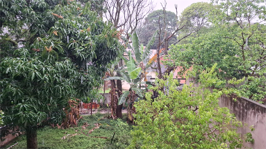 Foto REO1132375
