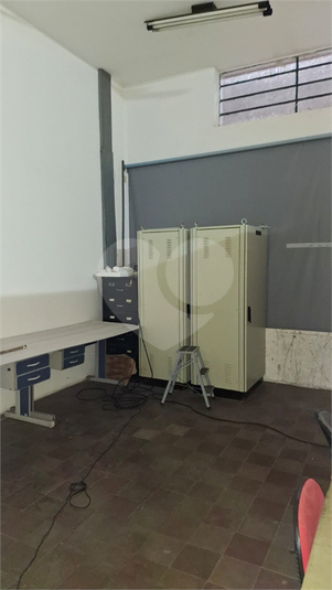 Foto REO1132375