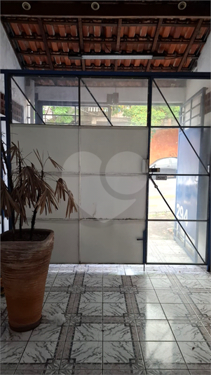 Foto REO1132375