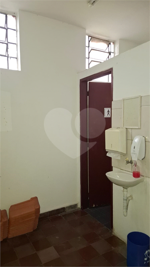 Foto REO1132375