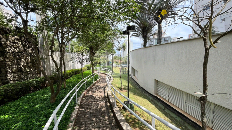 Foto REO1132379