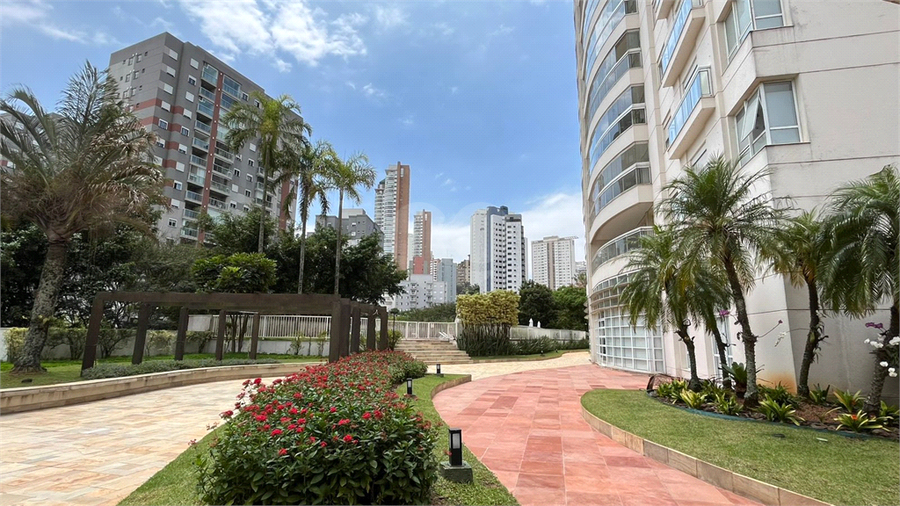 Foto REO1132379