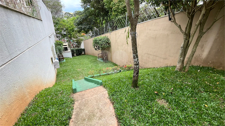 Foto REO1132379