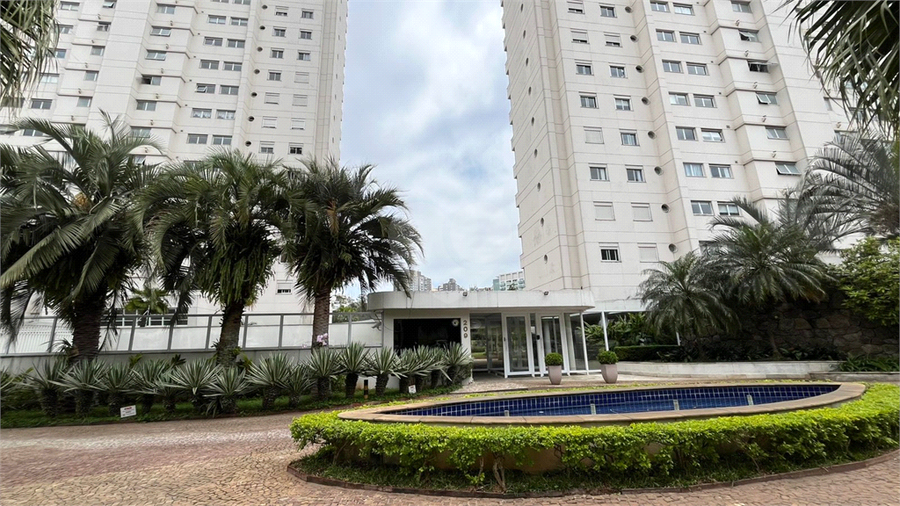 Foto REO1132379