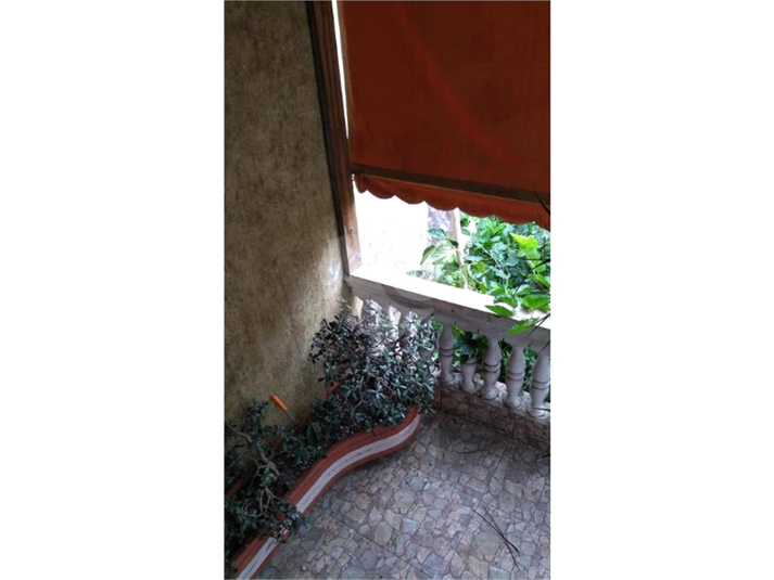 Foto REO1132389