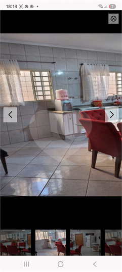 Foto REO1132390
