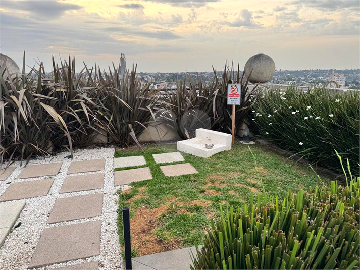Foto REO1132391