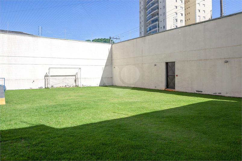 Foto REO1132403