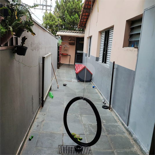 Foto REO1132406