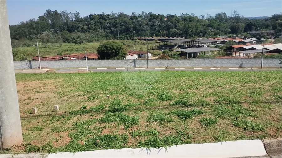 Foto REO1132421