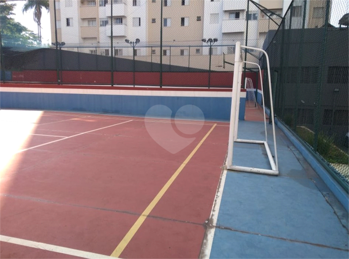 Foto REO1132422