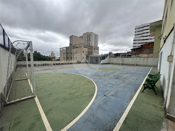 Foto REO1132424