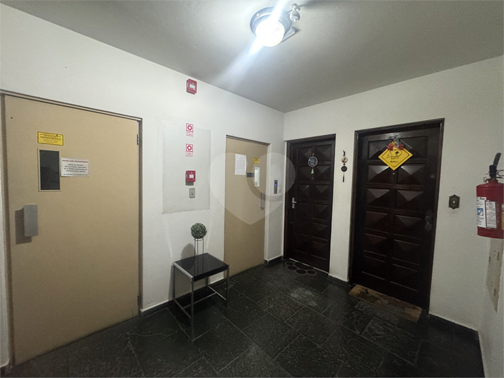 Foto REO1132424
