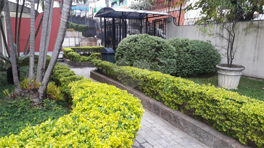 Foto REO1132437