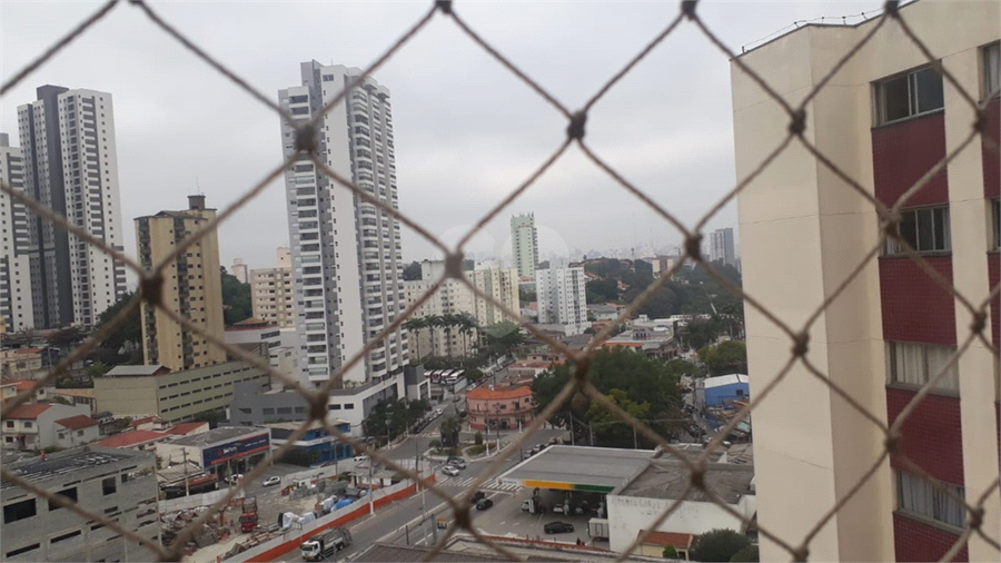Foto REO1132437