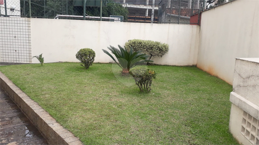 Foto REO1132437