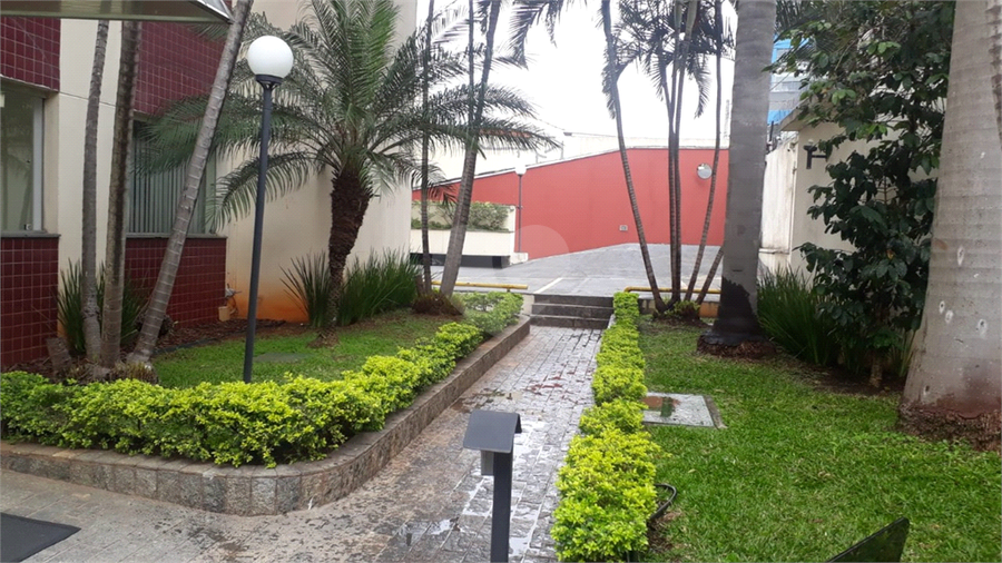 Foto REO1132437