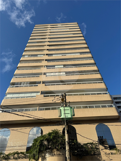 Foto REO1132441