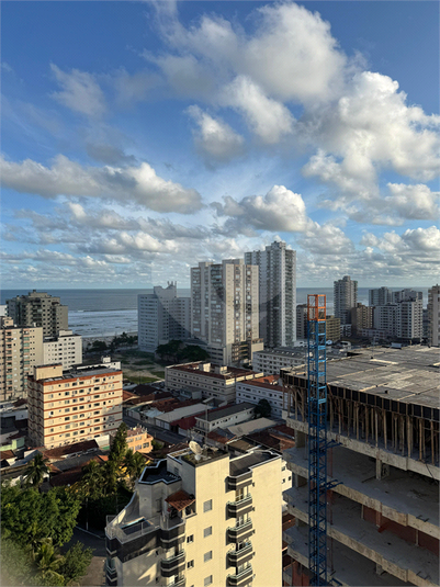 Foto REO1132441