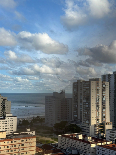 Foto REO1132441