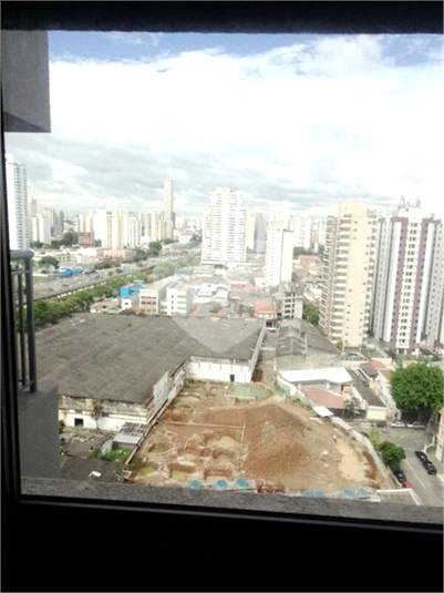 Foto REO1132446