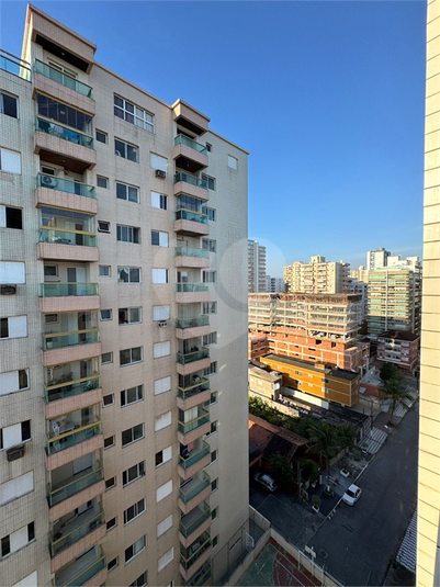 Foto REO1132466