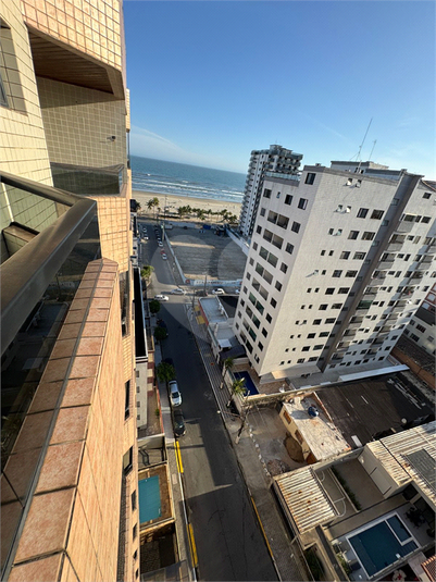 Foto REO1132466