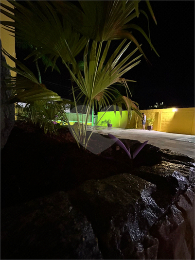 Foto REO1132480