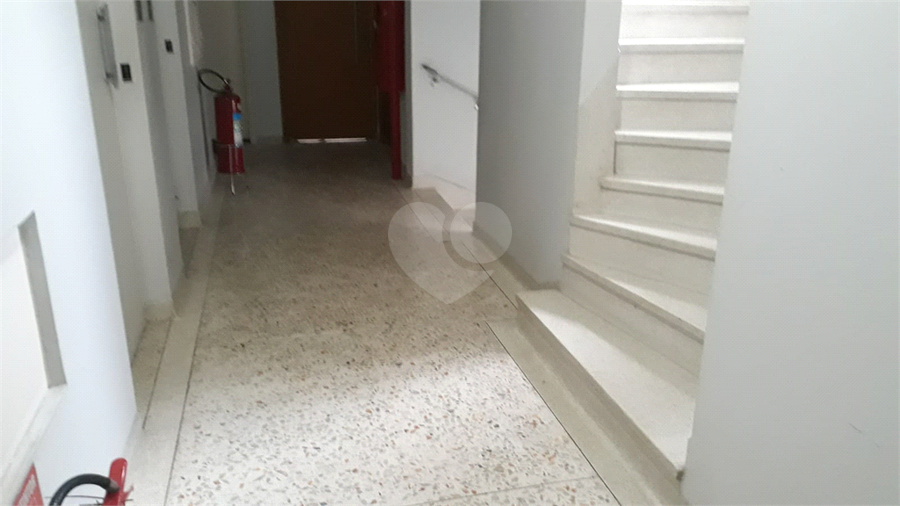 Foto REO1132481
