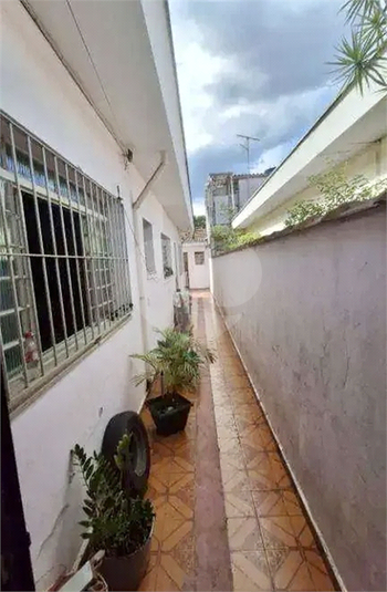 Foto REO1132485