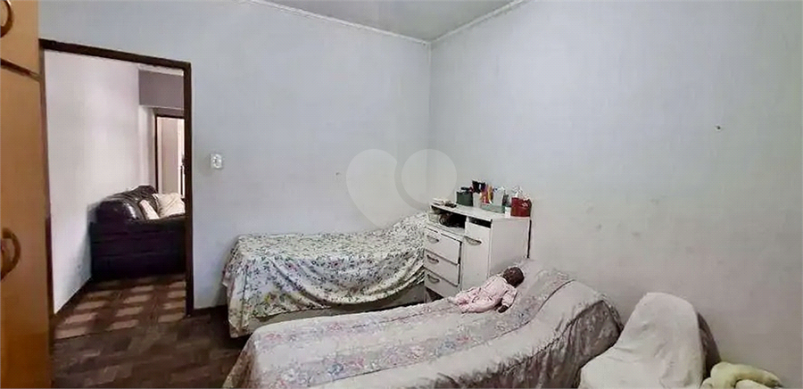 Foto REO1132485