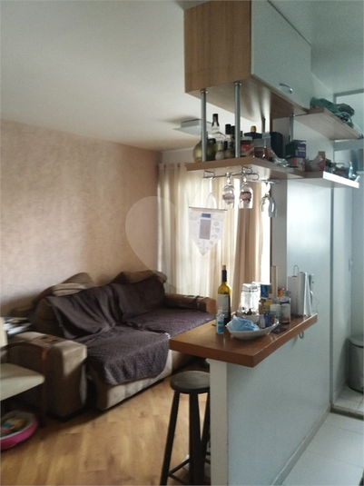 Foto REO1132486