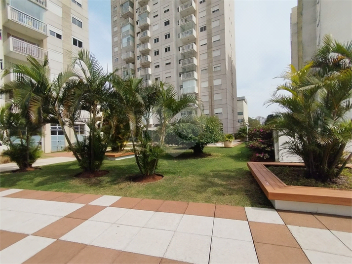 Foto REO1132486