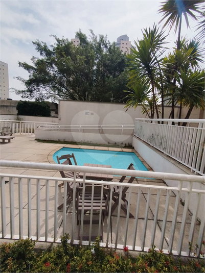 Foto REO1132486