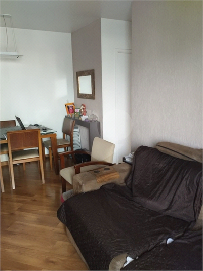 Foto REO1132486
