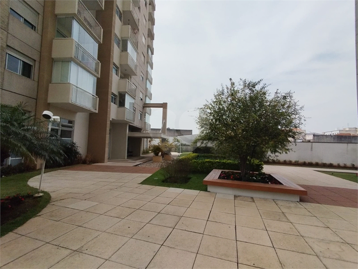 Foto REO1132486