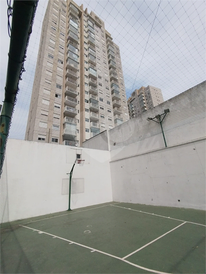 Foto REO1132486