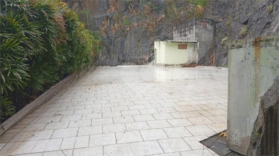 Foto REO1132487