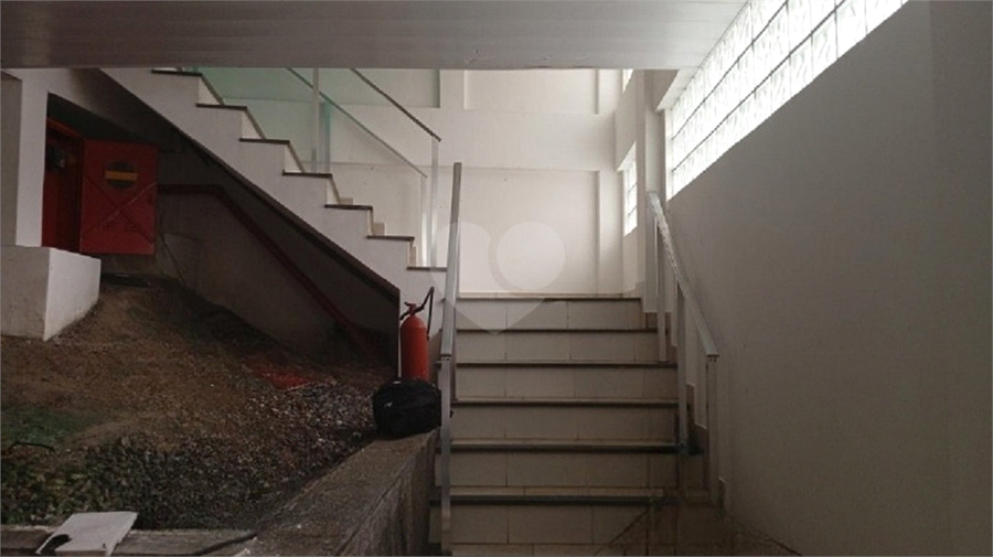 Foto REO1132487
