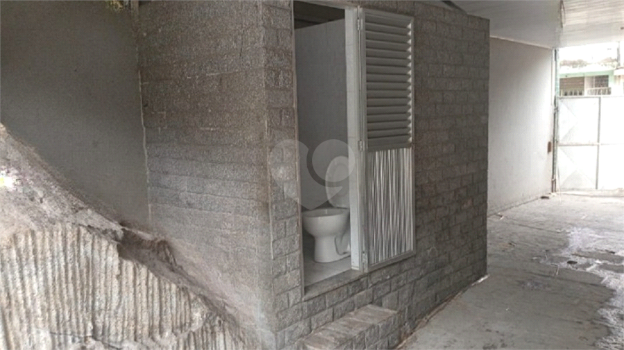 Foto REO1132487