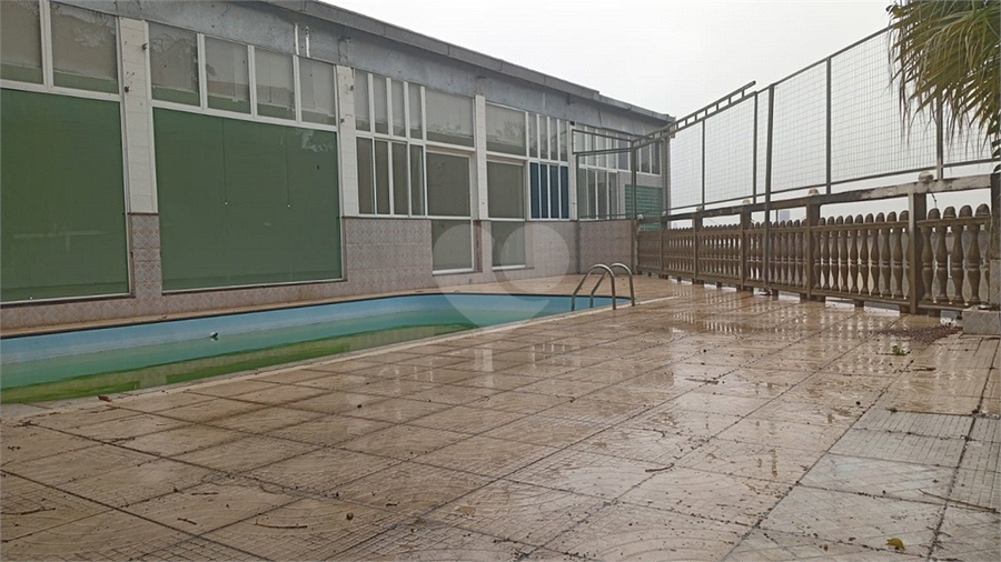 Foto REO1132487
