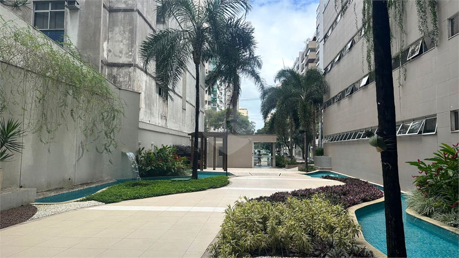 Foto REO1132488