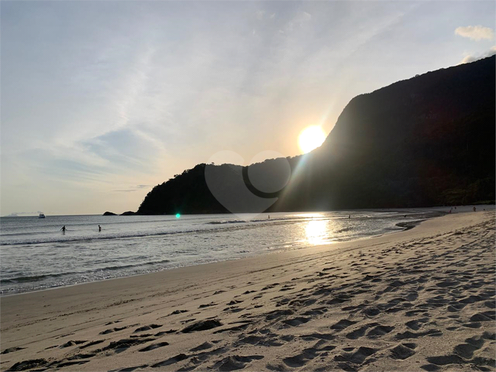 Foto REO1132490