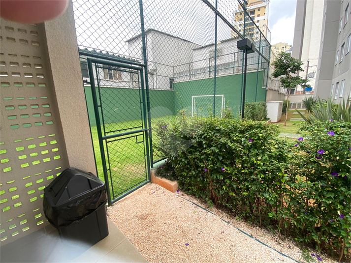 Foto REO1132495